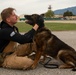 From puppy to patrol: the life of a military working dog