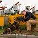 From puppy to patrol: the life of a military working dog