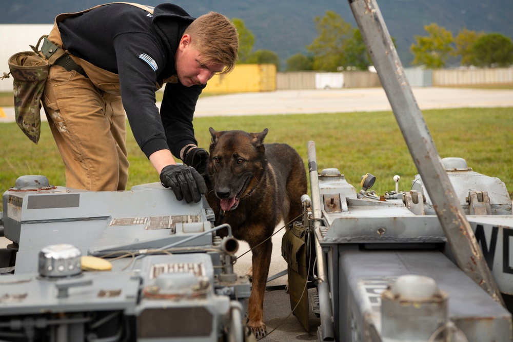 From puppy to patrol: the life of a military working dog