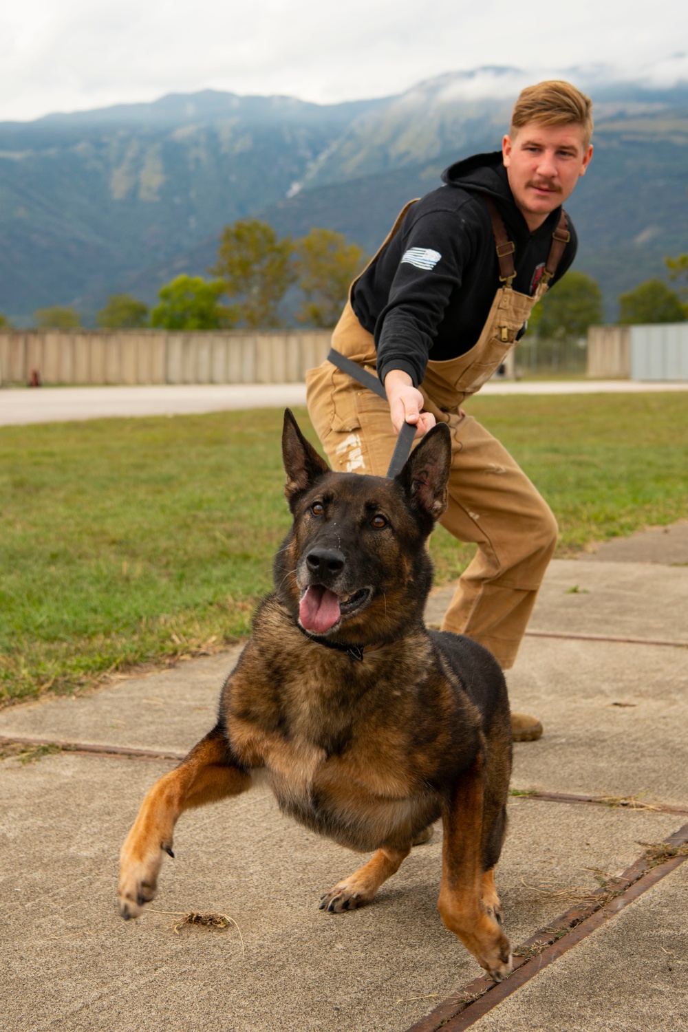 From puppy to patrol: the life of a military working dog