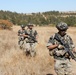 Scouts Conduct Reconnaissance