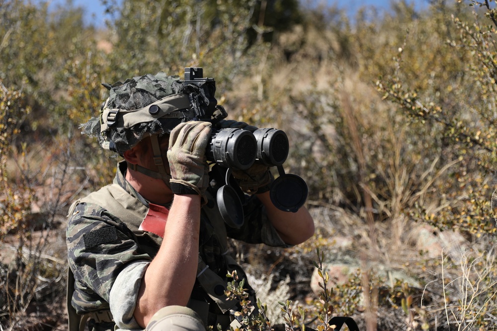 Scouts Conduct Reconnaissance