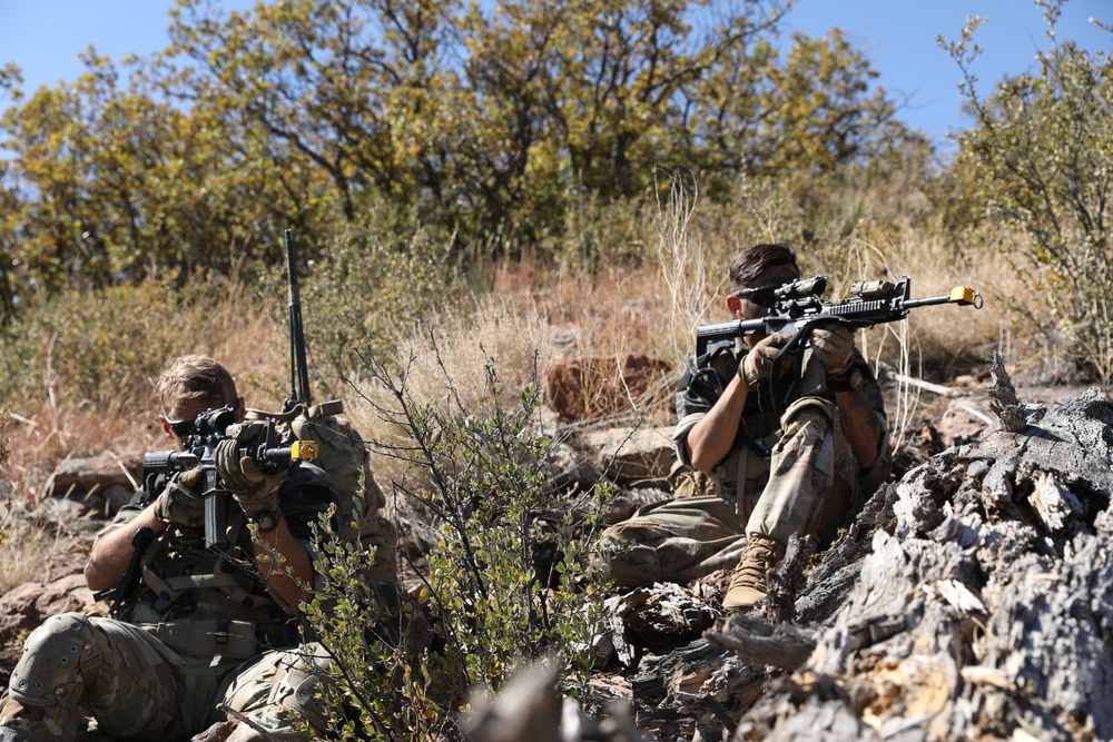 Scouts Conduct Reconnaissance