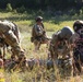 MEDEVAC Joint Training Exercise