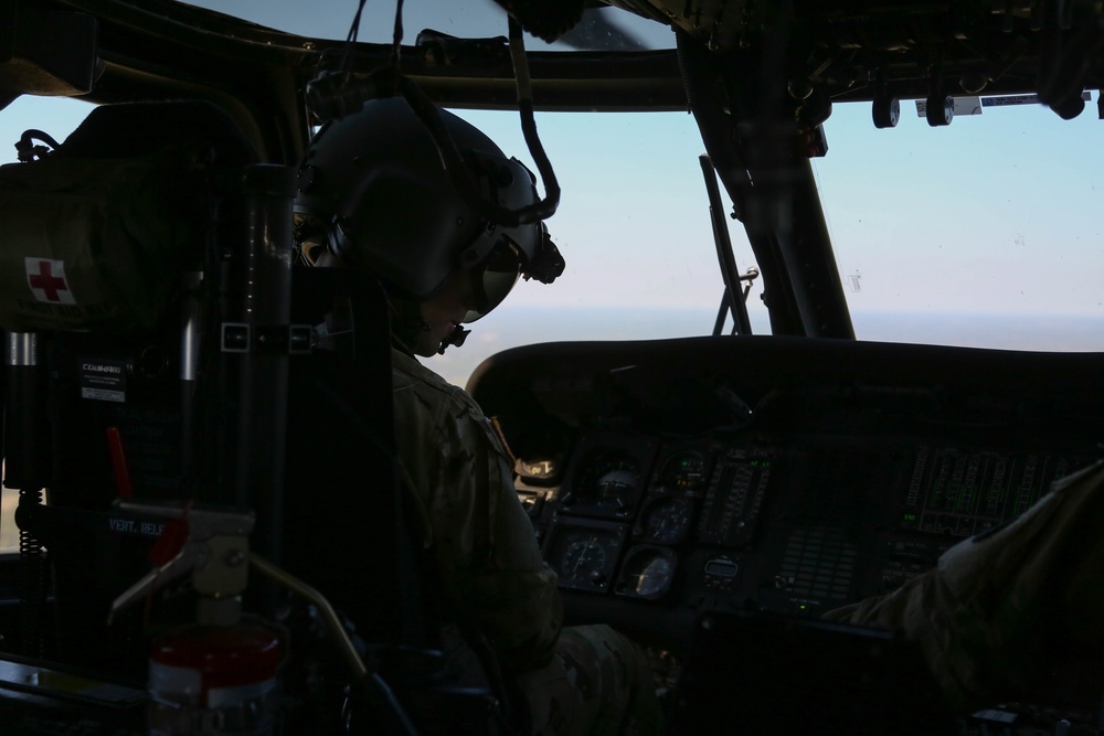 MEDEVAC Joint Training Exercise