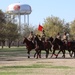 Half Section horses, riders