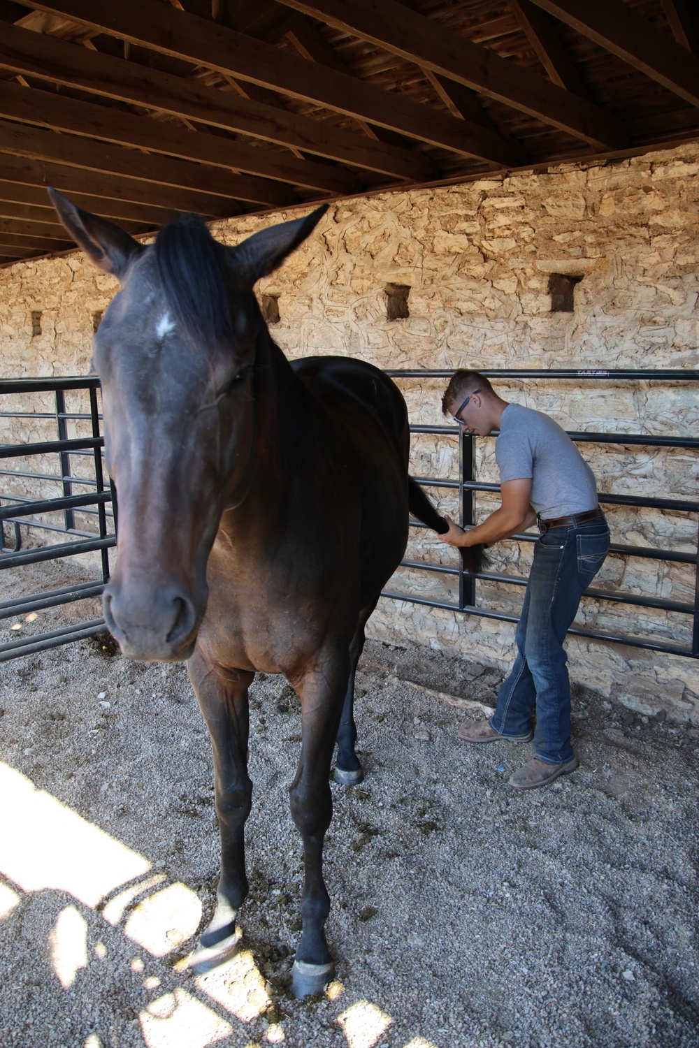 Tail brush