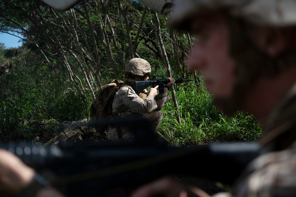 MCAS Conducts Land Navigation Training