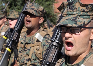 Mike Company Close Order Drill