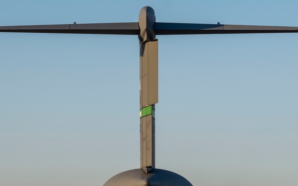 Gunfighter Flag 23-1