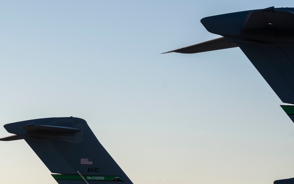 Gunfighter Flag 23-1