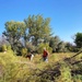 Volunteers turn out to observe National Public Lands Day and help improve USACE-Albuquerque District lakes