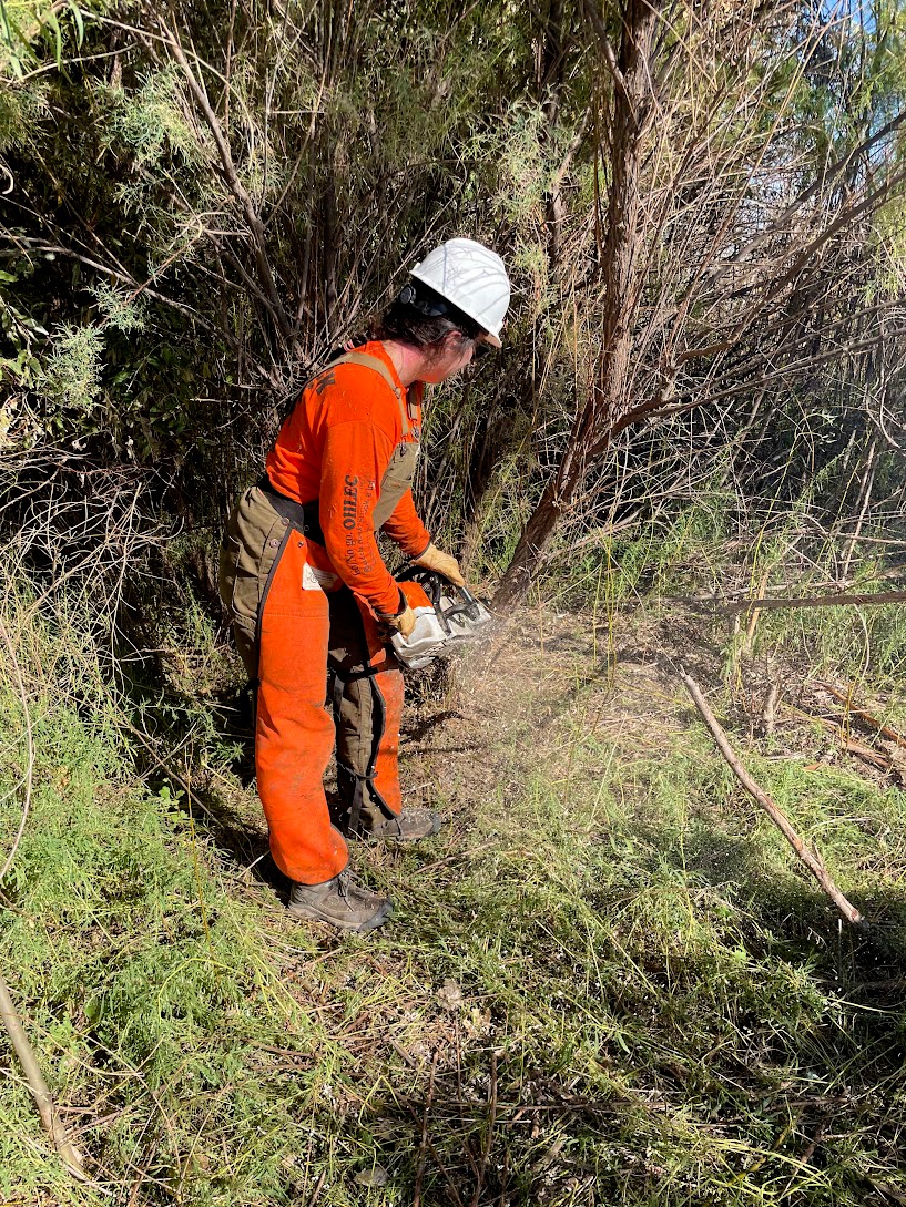 Volunteers turn out to observe National Public Lands Day and help improve USACE-Albuquerque District lakes