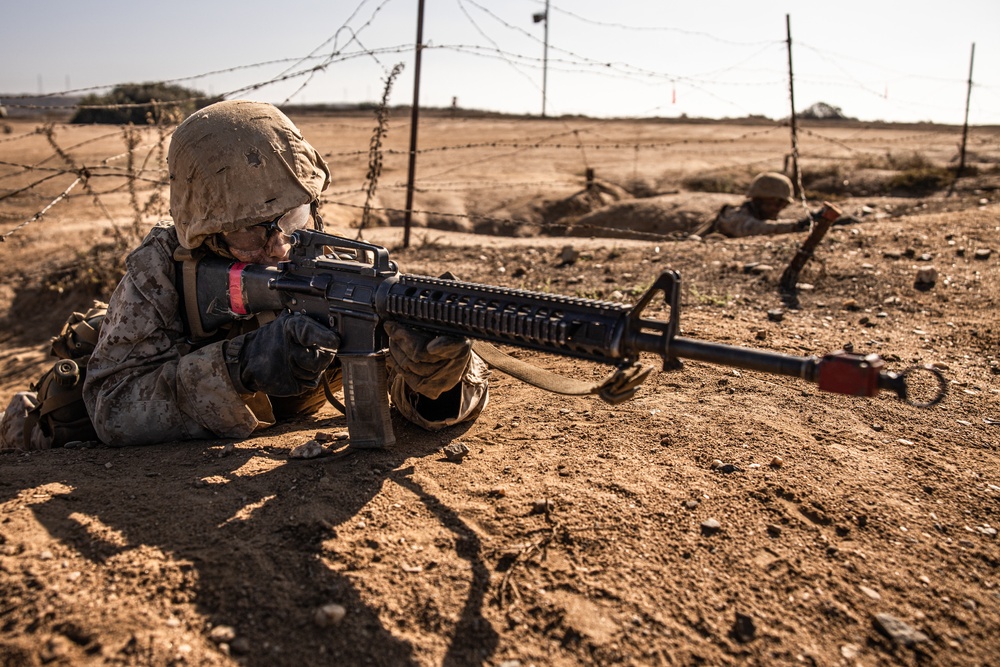 Delta Company Crucible