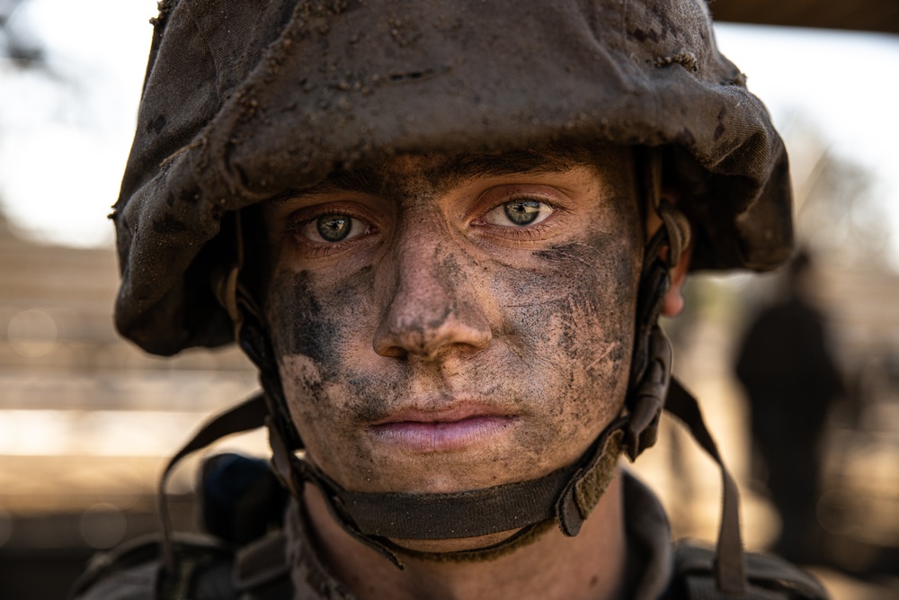 Delta Company Crucible