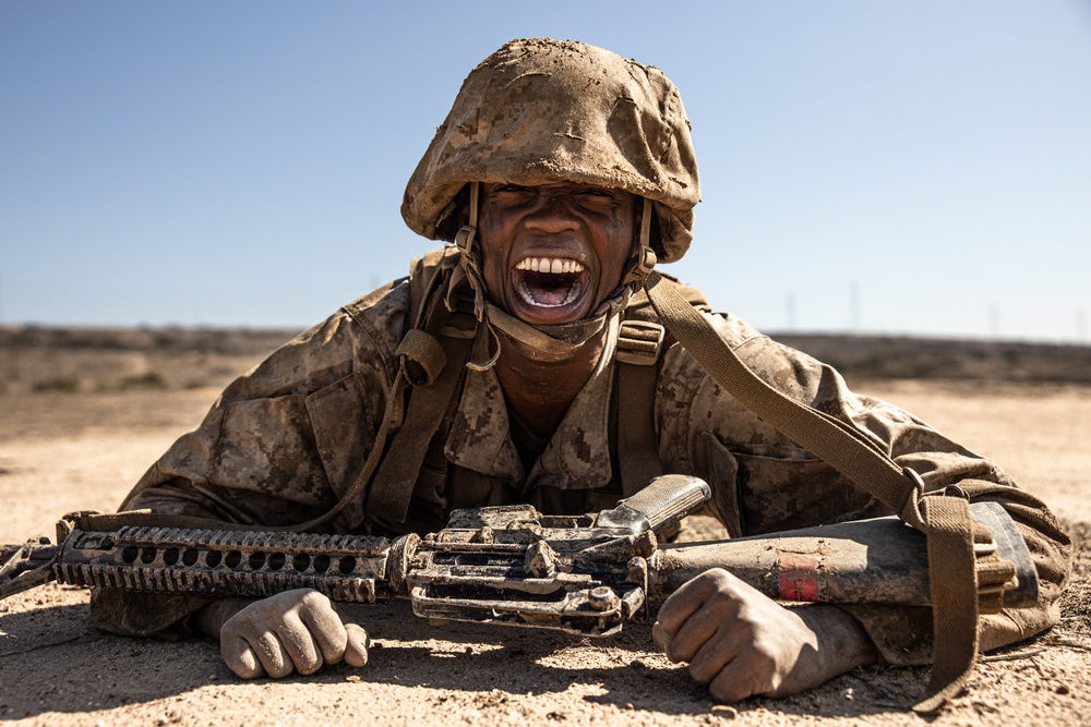 Delta Company Crucible