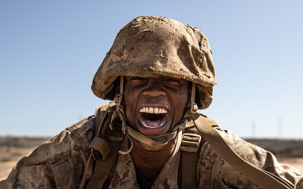 Delta Company Crucible