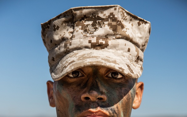 Delta Company Crucible