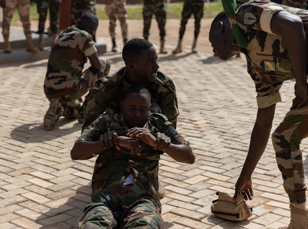 Hoosier, Nigerien medics bond over life-saving skills