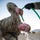 UTNG Best Warrior Competition Presents Top Competitors UTNG Best Warrior Competition Presents Top Competitors