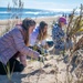 Dune Restoration on Dam Neck Annex