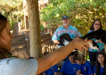 Pacific Missile Range Facility (PMRF) Participates in Annual Newell's Shearwater Blessing