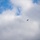 VTANG pilot reaches 1,000 hours in F-35