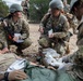 Combat Medic Specialist Training Program