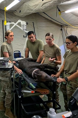 USAMMDA, partners test expeditionary veterinarian lab equipment