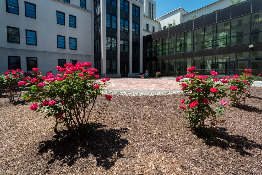 Walter Reed Clinic Hosts Suicide Awareness ‘Honor Walk’ In Hospital Labyrinth