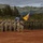 Joint Pacific Multinational Readiness Center 23-01 Opening Ceremony