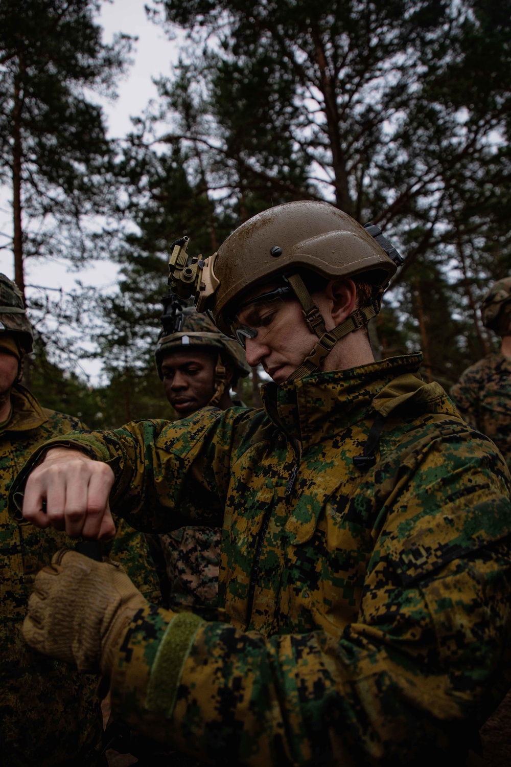 U.S. Marines in Finland