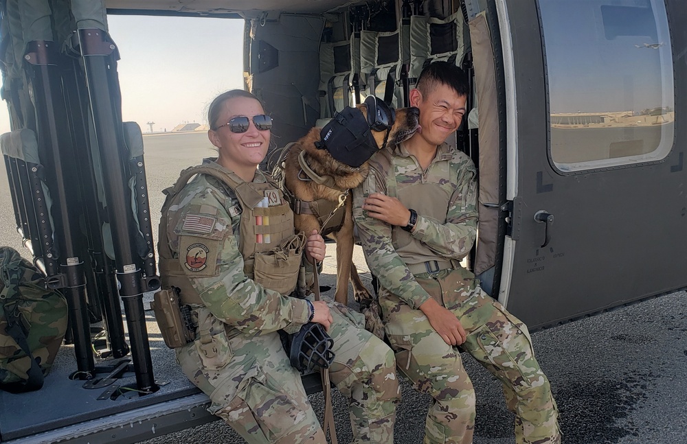 3-142 AHB Conducts Helicopter Familiarization Training with Military Working Dogs