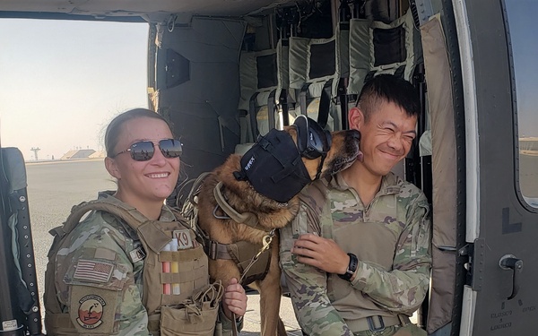 3-142 AHB Conducts Helicopter Familiarization Training with Military Working Dogs