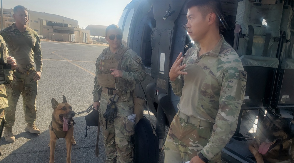 3-142 AHB Conducts Helicopter Familiarization Training with Military Working Dogs