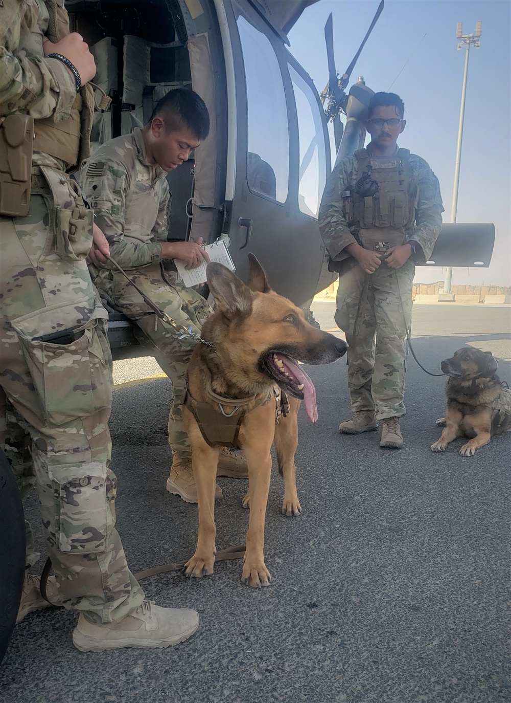 3-142 AHB Conducts Helicopter Familiarization Training with Military Working Dogs