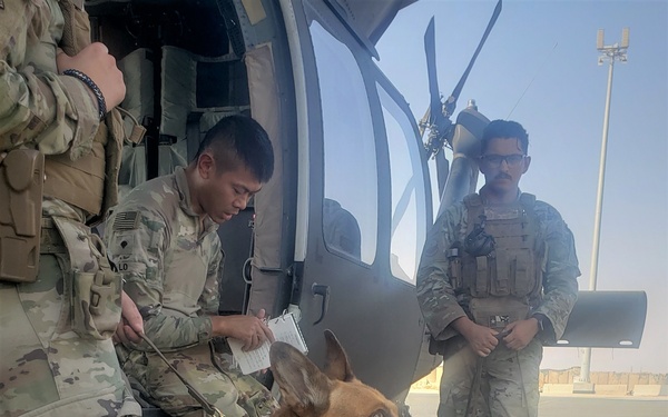3-142 AHB Conducts Helicopter Familiarization Training with Military Working Dogs
