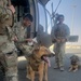 3-142 AHB Conducts Helicopter Familiarization Training with Military Working Dogs