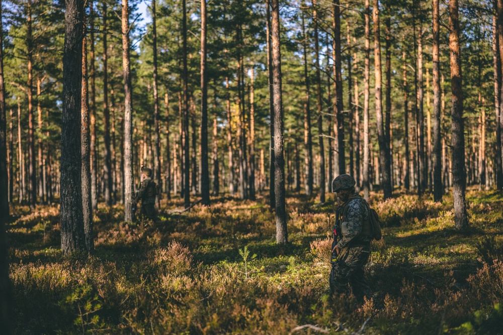 U.S. Marines conduct Land Navigation and patrolling tactics in Finland