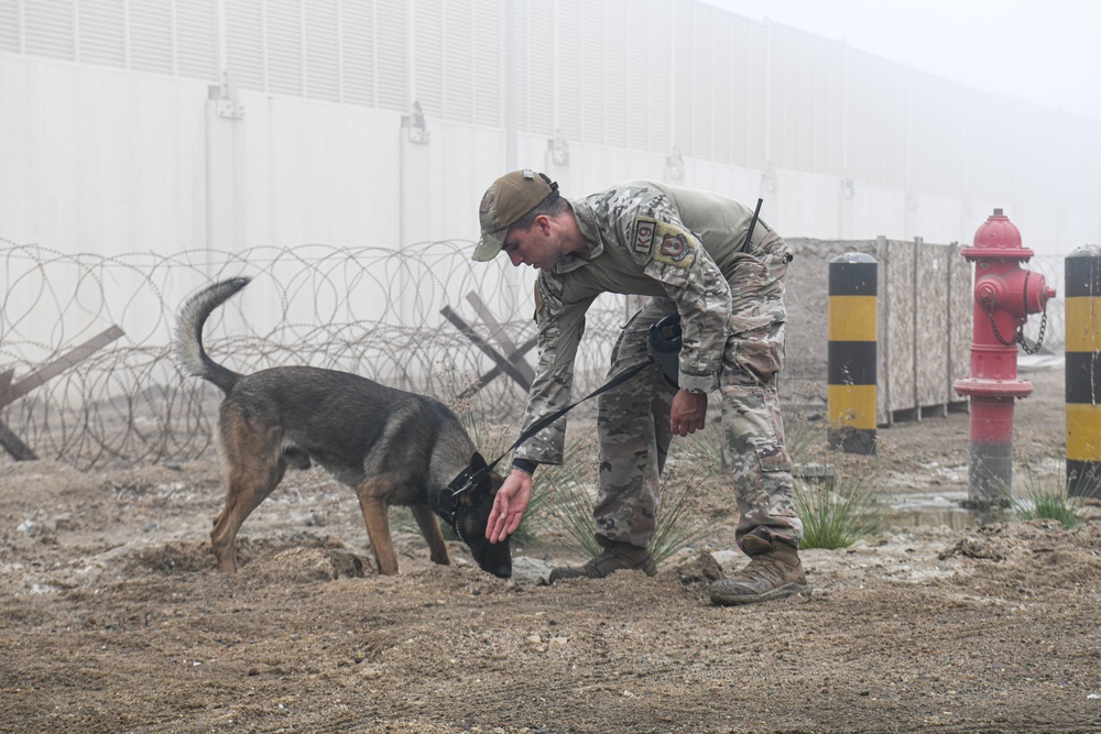 Passing the Sniff Test - Military Working Dogs keep ADAB secure