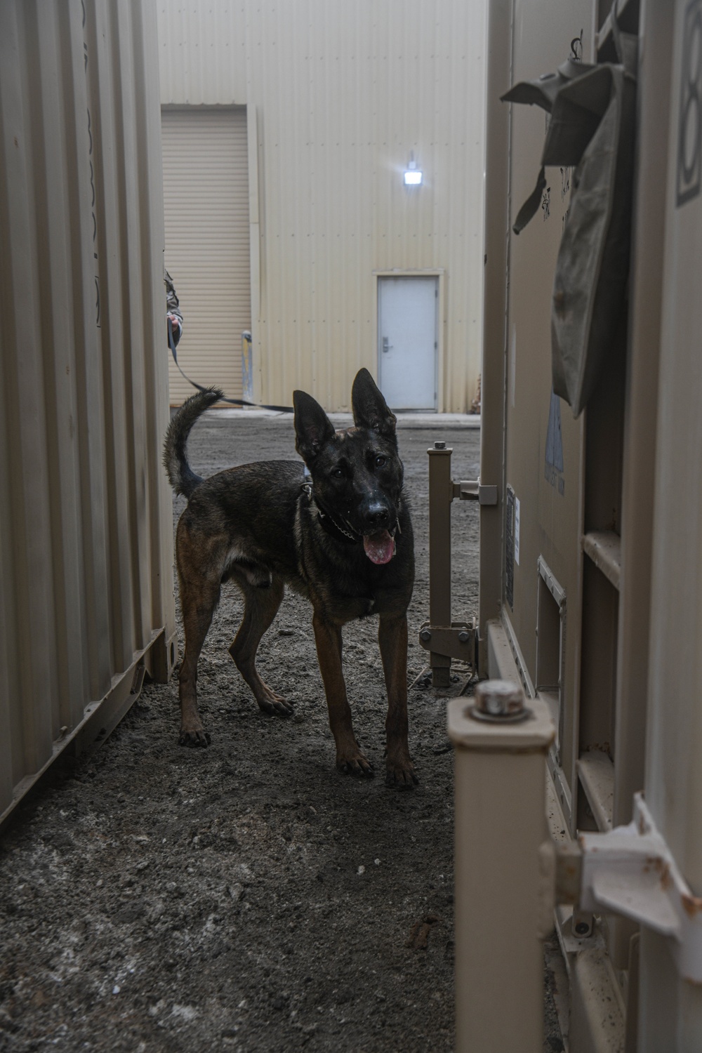 Passing the Sniff Test - Military Working Dogs keep ADAB secure