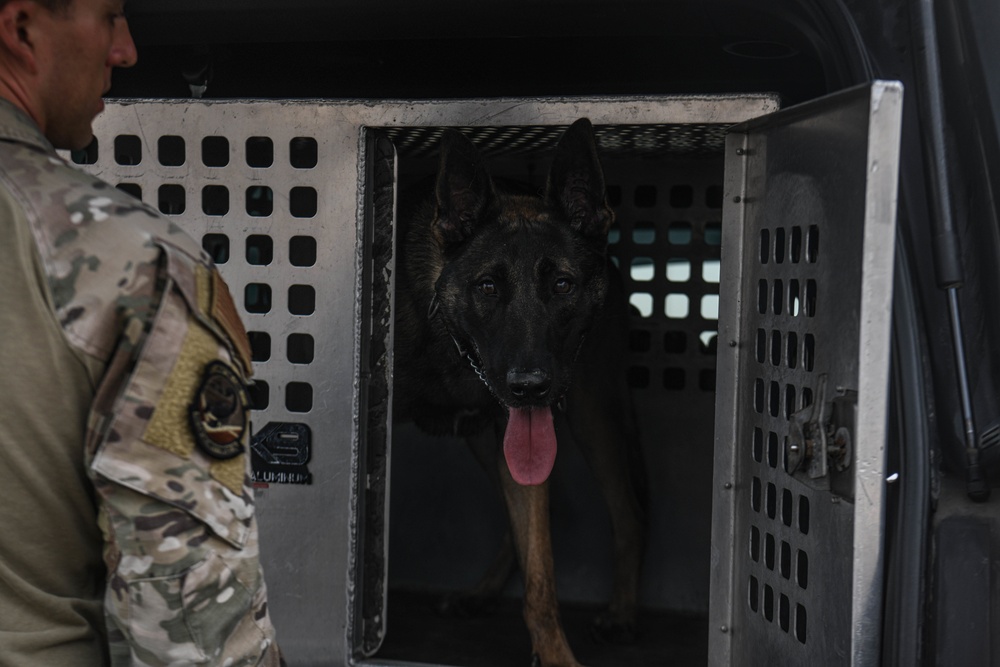 Passing the Sniff Test - Military Working Dogs keep ADAB secure