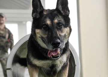 Passing the Sniff Test - Military Working Dogs keep ADAB secure