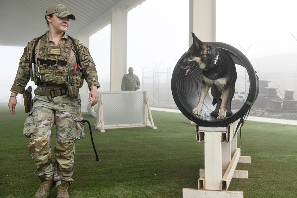 Passing the Sniff Test - Military Working Dogs keep ADAB secure