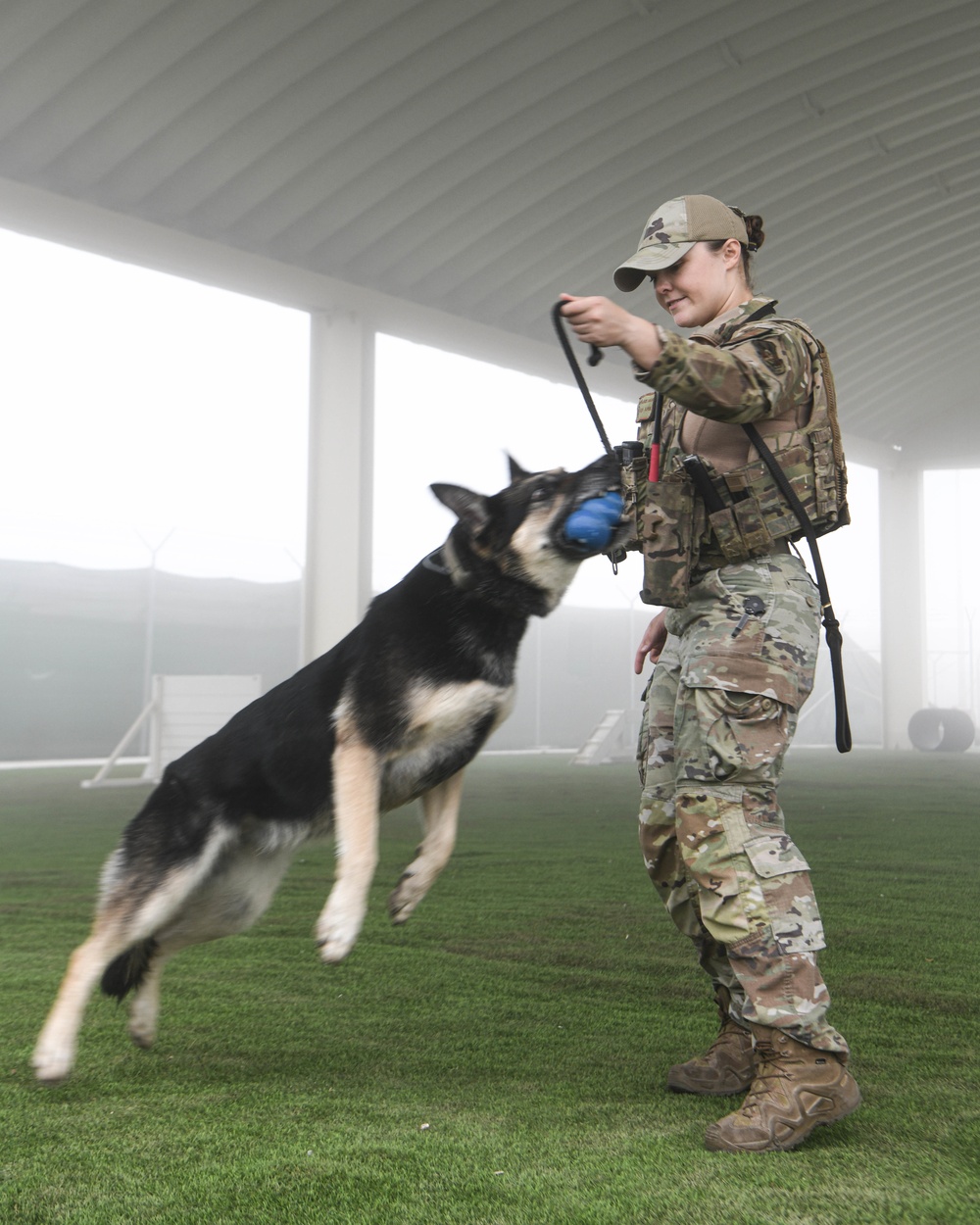 Passing the Sniff Test - Military Working Dogs keep ADAB secure