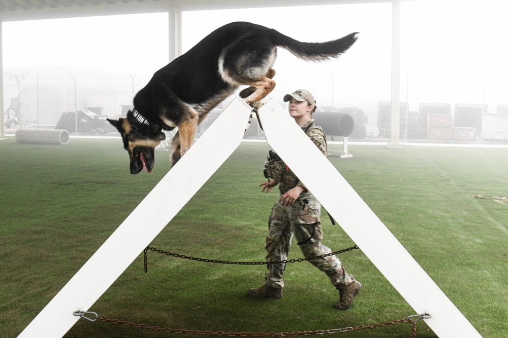 Passing the Sniff Test - Military Working Dogs keep ADAB secure