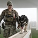 Passing the Sniff Test - Military Working Dogs keep ADAB secure