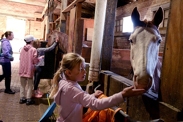 Event at stables connects History with Horses