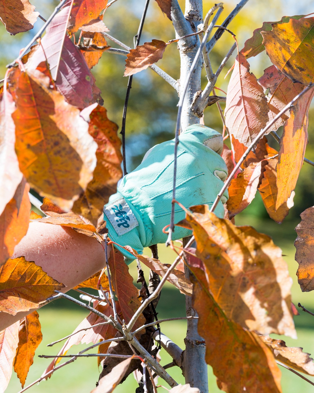 Wright-Patt honors National Public Lands Day with tree planting event