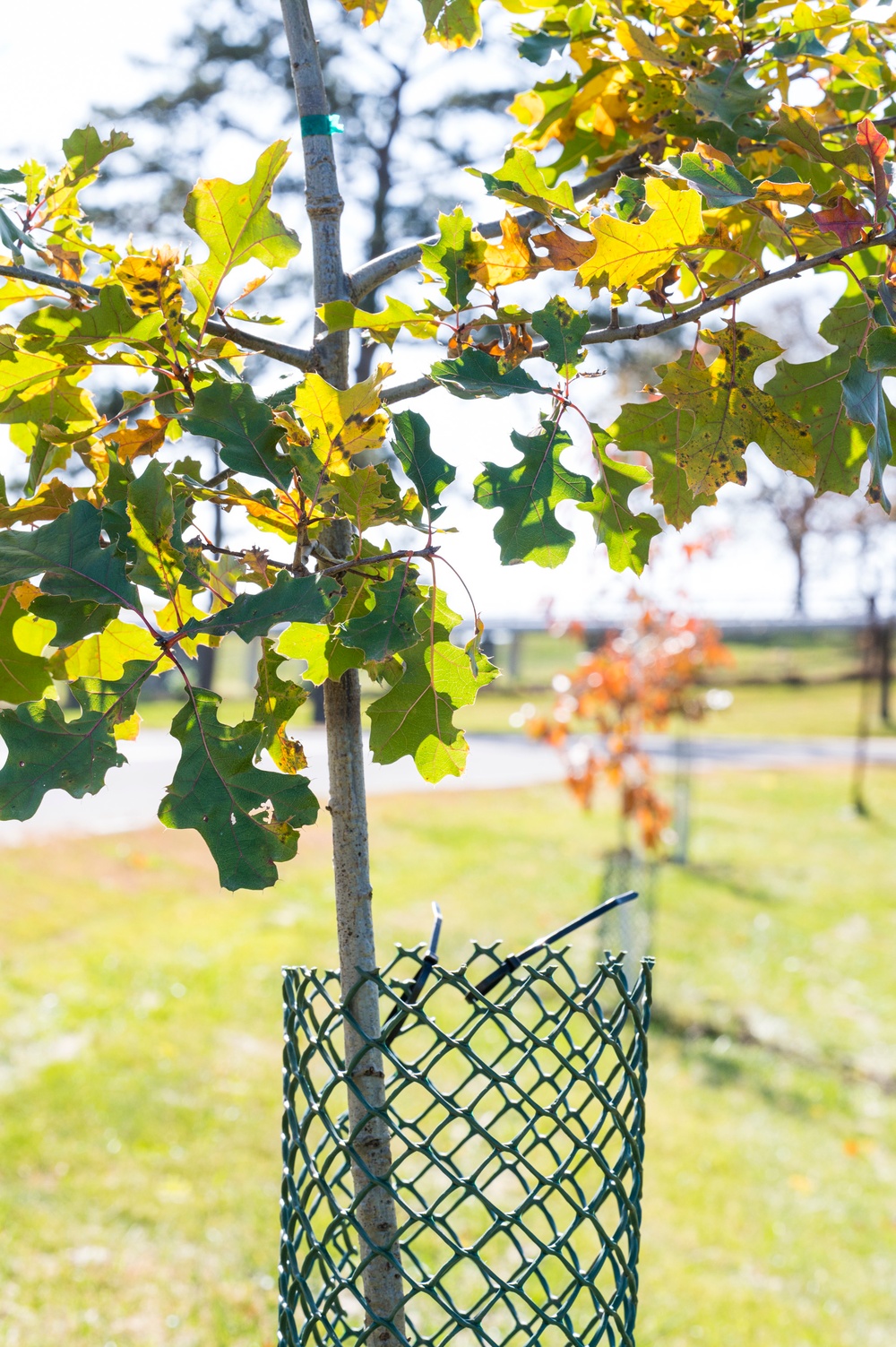 Wright-Patt honors National Public Lands Day with tree planting event